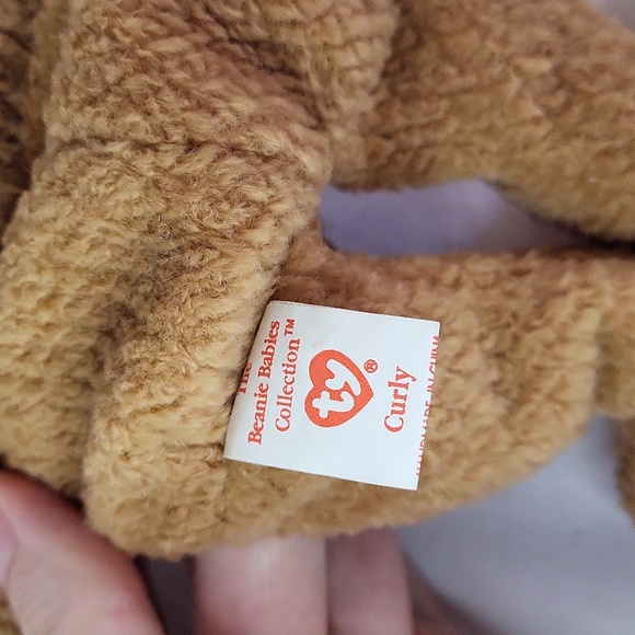 Curly Ty beanie baby teddy bear vintage 1996 - Picture 5 of 8